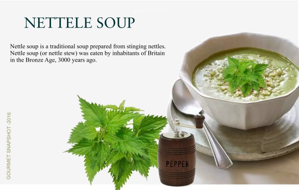 Nettle-Soup